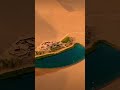 Deadly Oasis Sahara Desert Africa 