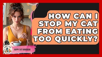 How Can I Stop My Cat From Eating Too Quickly? - Happy Cat Handbook