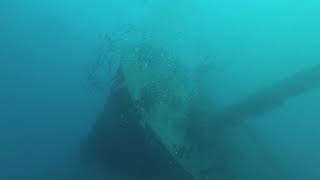 Diving In Aqaba, Cedar Pride