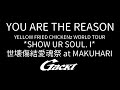 YOU ARE THE REASON【GACKT】YELLOW FRIED CHICKENz WORLD TOUR *SHOW UR SOUL. I* 世壊傷結愛魂祭 at MAKUHARI