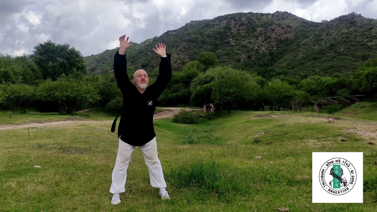 Wu Qin Xi Qi Gong ( el juego de los 5 animales del Chi Kung )