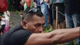 Jaran Kepang,TURONGGO TRI BUDOYO,Kaligesing,,,