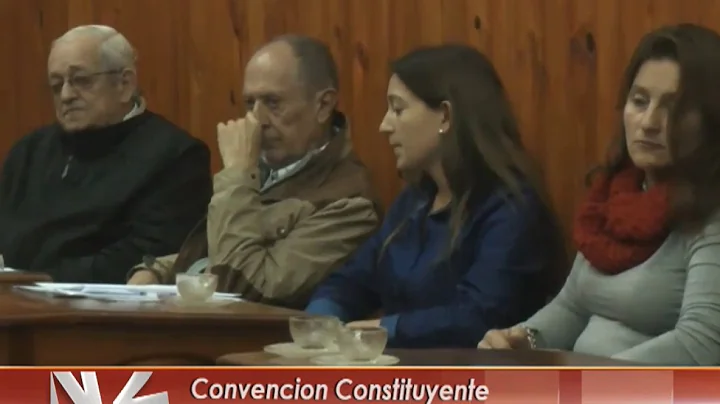 Convencion Constituyente       Lic. Elvira Paredes