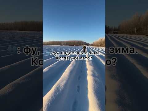 КЛУБНИЧНИКИ ОТДЫХАЮТ ЗИМОЙ #зима#лето#клубника #агроном #агробизнес#рассада #2024 #топ #рекомендации