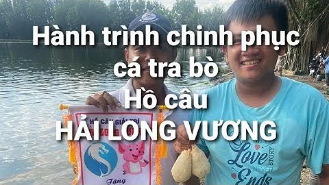 Hành Trình chinh phục cá Tra bò|Hồ câu Hải Long Vương|Hồ câu giải trí lớn nhất TPHCM.