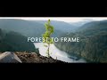 Forest To Frame