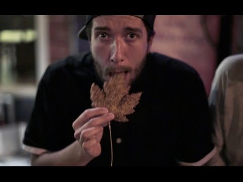 manger-des-feuilles-d'érable---le-repas-parfait-pour-l'automne-québécois