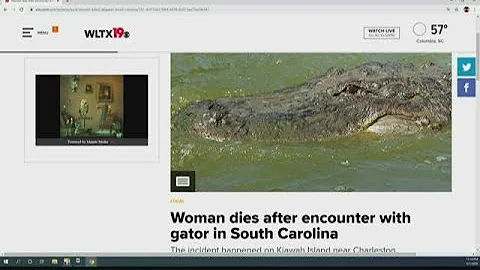 Woman dies after encounter with gator in South Carolina - DayDayNews