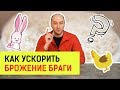 Как ускорить брожение браги? Очень разные способы 😊