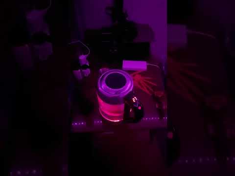 Электрочайник RZTK Yoda Black
