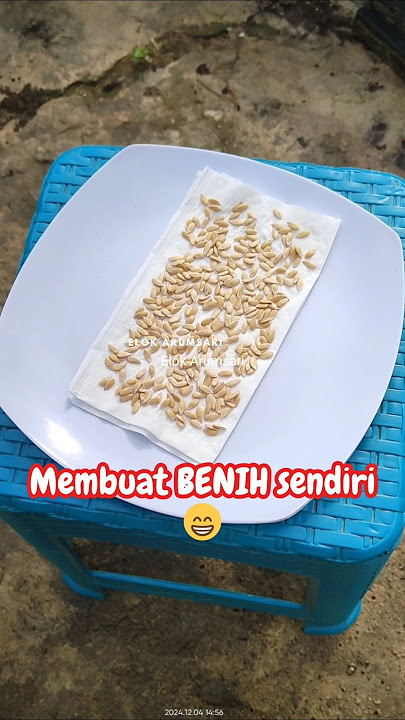 HOW TO MAKE YOUR OWN SEEDS