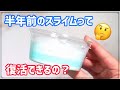 【検証】半年前のスライムを救いたいんだけど…【BGMあり】