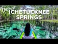 Ichetucknee springs experience one of floridas natural paradises