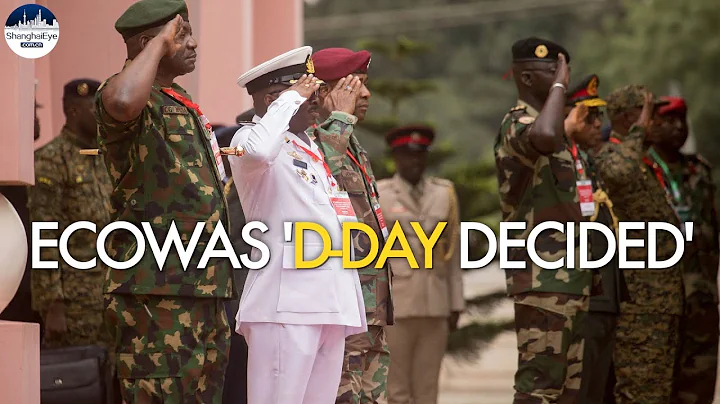 Niger coup: ECOWAS ready to deploy standby force, declares senior official after high-stakes meeting