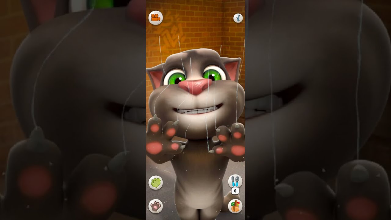 Talking Tom Cat Part 13792 Shorts