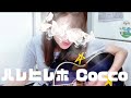 ハレヒレホ Cocco 弾き語りカバー