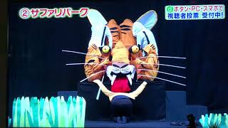 欽ちゃんの仮装大賞玩具 Amazon.co.jp: 新欽ちゃんの仮装大賞 玩具 生産 レア物 : おもちゃ