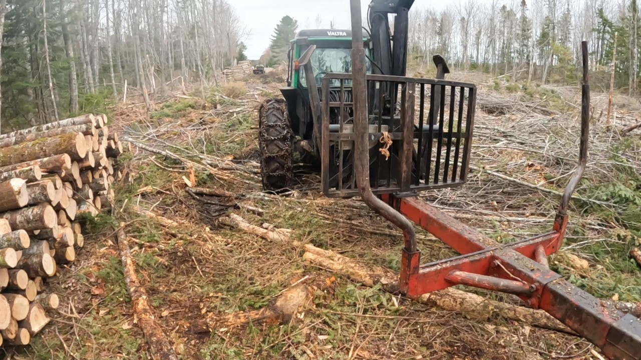 Husqvarna 562xp  vs pine trees