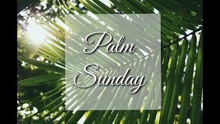 Palm Sunday - The Lord Needs it!