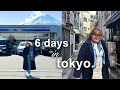 6 days in tokyo pt 2  mount fuji day trip luxury vintage shopping best wagyu ever mega don etc