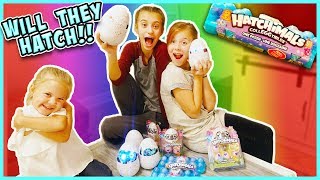 Super Special Family Hatchimals Egg Surprise Smellybellytv
