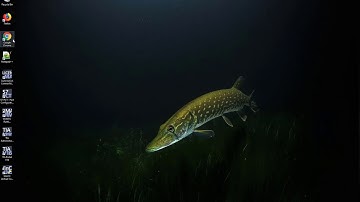 WinCC Unified V16: use the media player to play a video