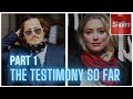 Johnny DEPP v Amber HEARD (The Sun UK)- The Witness Testimony So Far (PART 1)