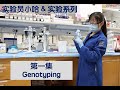 Visual Protocol - #1 - Genotyping - 实验员小哈&实验系列  第一集