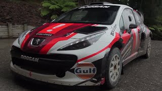 The Homebuilt Rally Car That's Too Fast for the WRC  TST in NZ