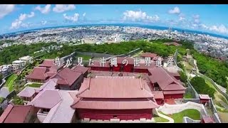 鳥が見た沖縄の世界遺産 ～ マルチコプター による空撮映像