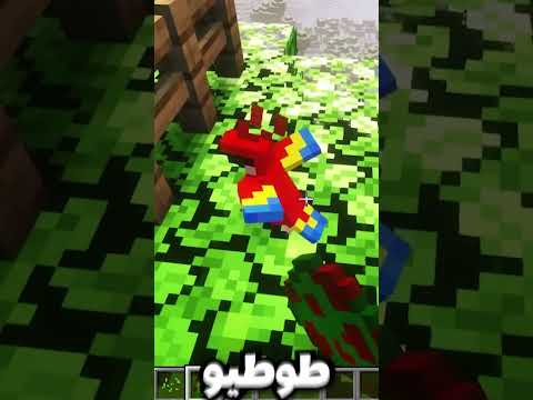 فکت نامه ماینکرفت عجیب ترین باگ ادونسمنت Minecraft ماينكرافت Gaming 