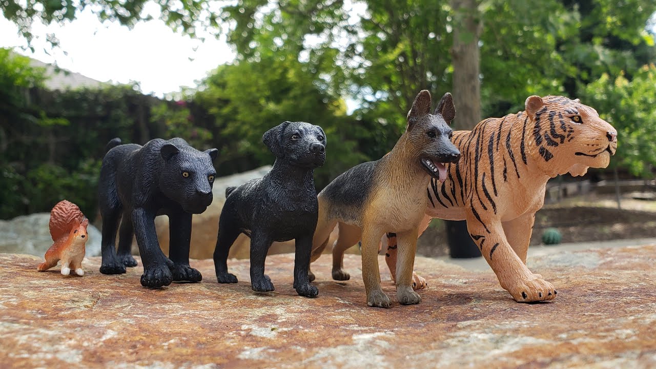 Project One, the Start of the Beginning (Part 1)