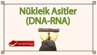 Ayt Biyoloji Nükleik Asitler Dna - Rna