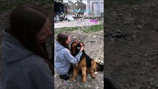 Betrayed Dog Waiting for His Family at Ruined House #animalrescue #dog #rescue #shorts