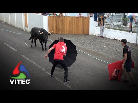 Tourada à corda no Raminho, 16 de junho de 2025