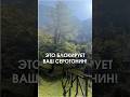 Что блокирует ваш серотонин?