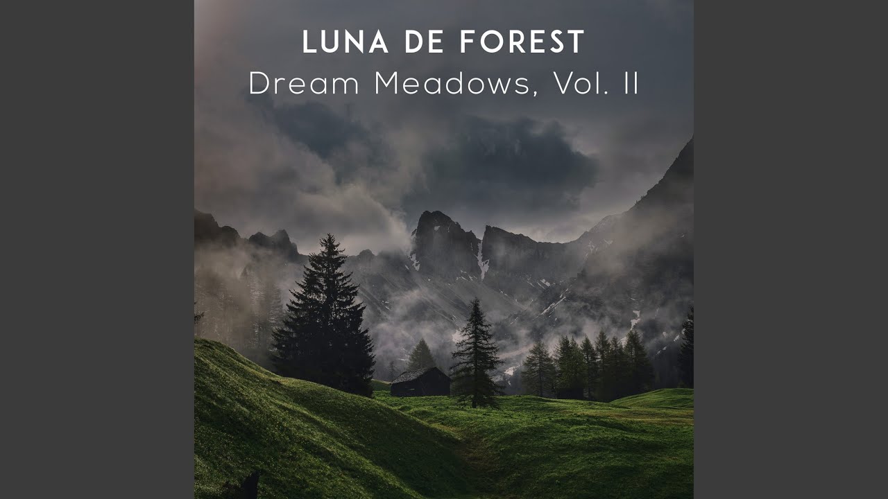 Next Time & Dream Meadows