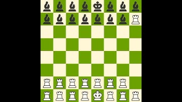 Bishops vs Rooks | Crazy Chess