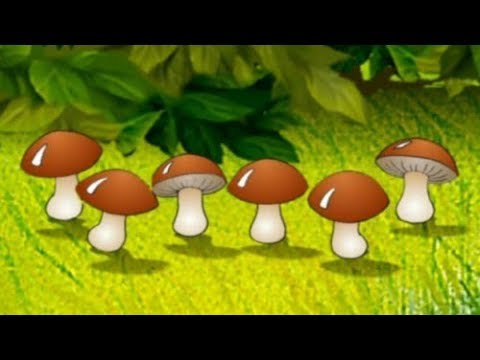 ПЕСНЯ НА ПОЛЯНКЕ НА ЛЕСНОЙ В РЯД ГРИ СКАЧАТЬ БЕСПЛАТНО ПЕСНЯ НА ПОЛЯНКЕ НА ЛЕСНОЙ В РЯД ГРИ СКАЧАТЬ БЕСПЛАТНО