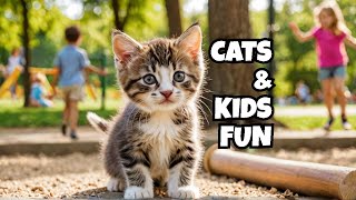 #cats  overload  A Playful Journey with #KIDS #cat by Cats OVERLOAD 4 views 1 month ago 2 minutes, 57 seconds