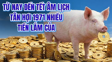TRÚNG QUẢ LỚN! TỪ NAY ĐẾN TẾT ÂM LỊCH, TỬ VI TỬ VI TÂN HỢI 1971 PHÁT TÀI NHIỀU TIỀN LẮM CỦA