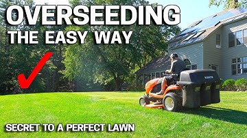 How to OVERSEED Your Lawn in FALL - Easy Way