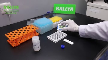 BALLYA Avermectin Test - Detection of Avermectin in Paddy - BALLYA