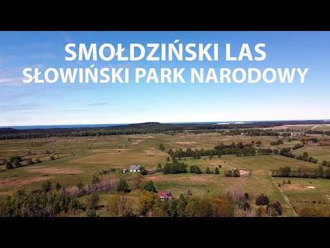 Ośrodek Wypoczynkowy BEATA/FIORD - Smołdziński Las (Słowiński Park Narodowy)