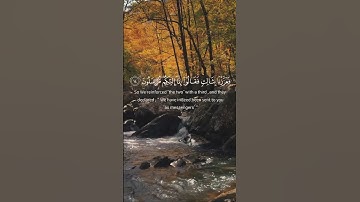 سورة يس-القارئ سعد الغامدي #القرآن_الكريم#فلسطين#رمضان#غزة#ترند#قرآن#سورة_يس#سعد_الغامدي#الله