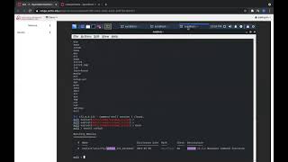 Penetration testing with Metasploit framework
