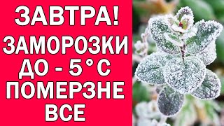 ПОМЕРЗНЕ ВСЕ В УКРАЇНІ : ЗАМОРОЗКИ ДО -5 ГРАДУСІВ