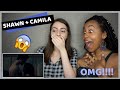 Shawn Mendes, Camila Cabello - Señorita (REACTION)