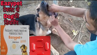 Eazypet tablet  से  अपने Dog की डिवर्मिंग कैसे करवाएं How to use Eazypet for Dog Deworming