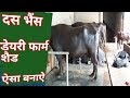 मुर्रा भैंसों का डेरी फार्म ऐसा बनाए| Murrah Buffalo Dairy Farm in Haryana India.Shed designs.